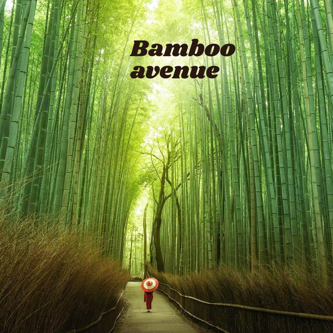 Bamboo Avenue