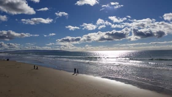 Coastal Cleanup Day