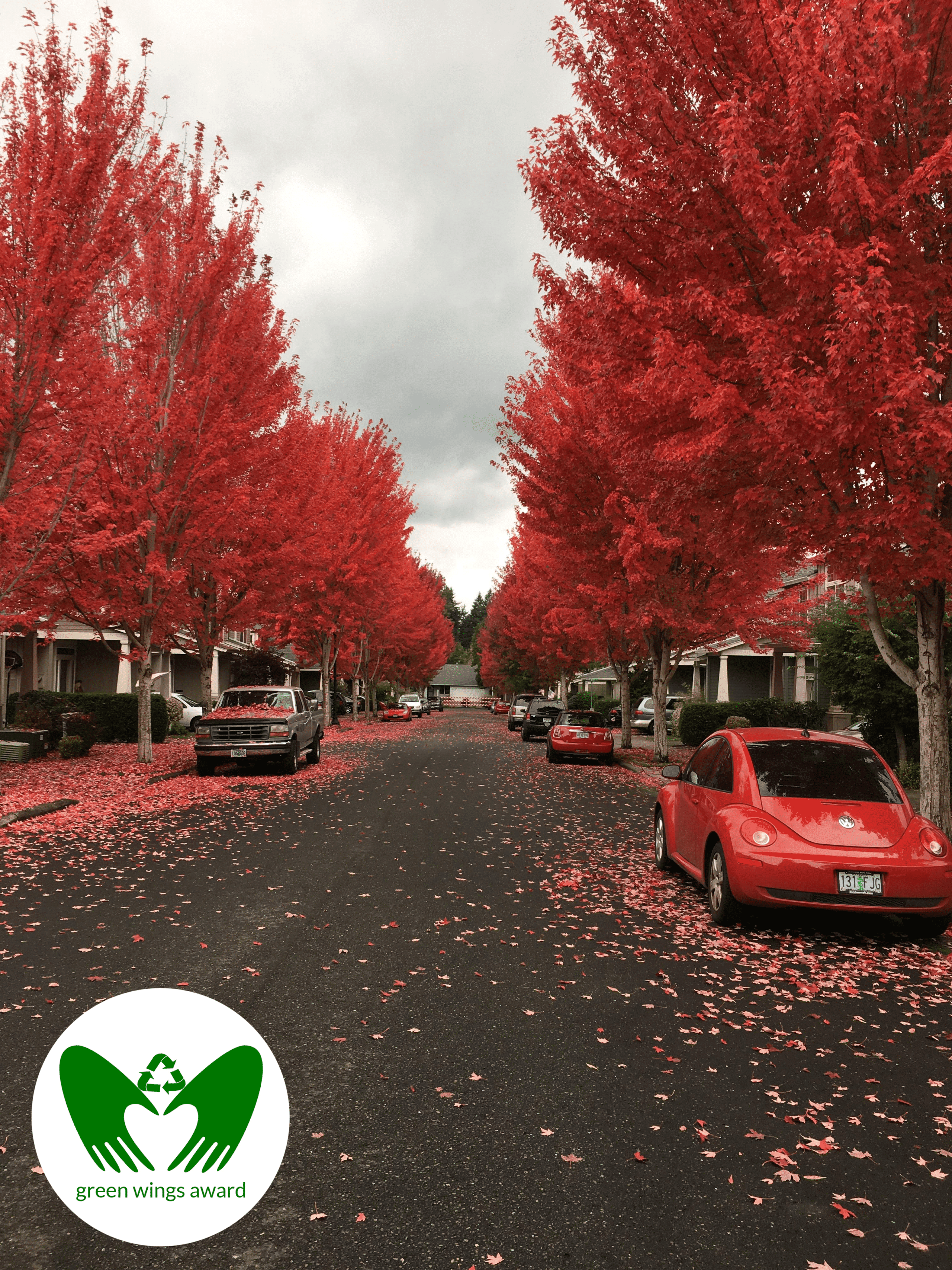 Fall in Red, Winner of the Green Wings Award.
