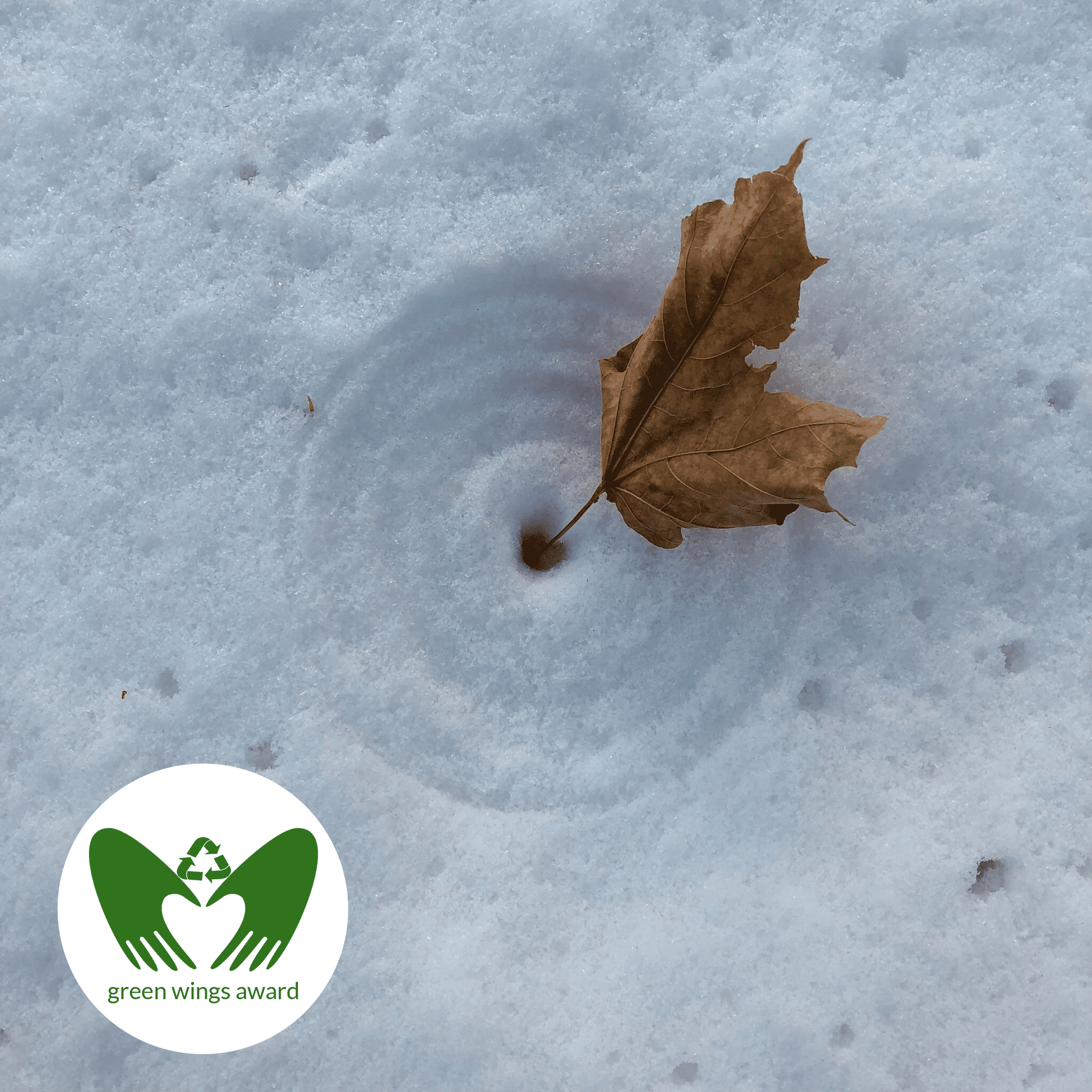 Concentric Circle Leaf, Green Wings Award Winner