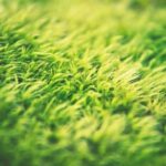 artificial grass eco-friendly