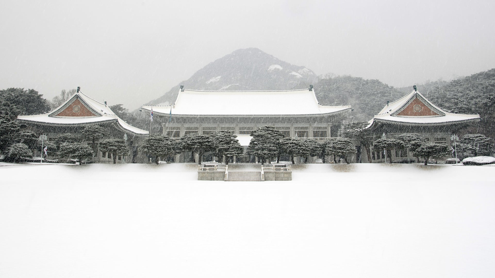 Olympic Snowfall