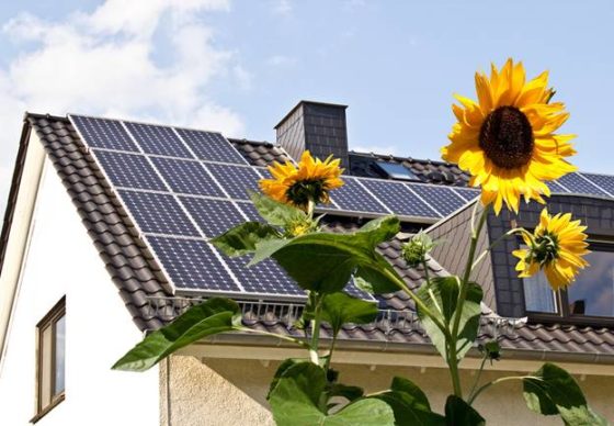solar roof sunflower