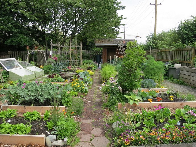 composting garden