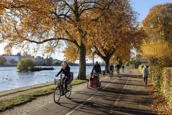 Cycling in Copenhagen