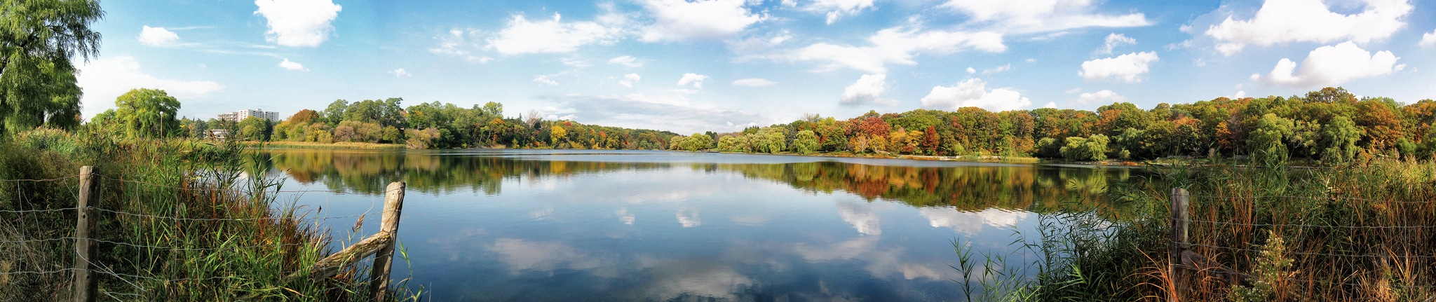 reflection pond