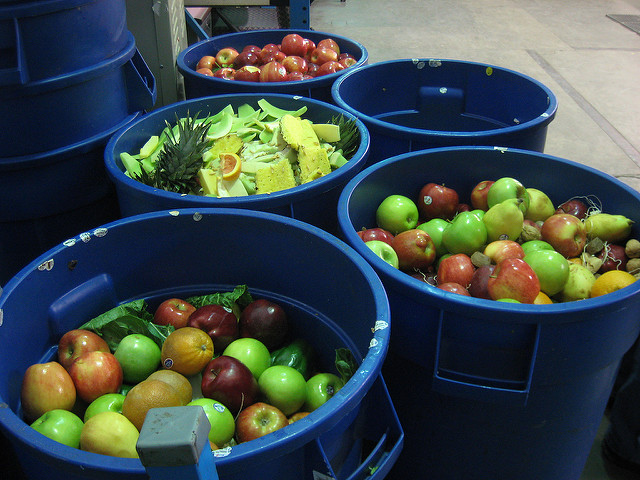 fruit in bins