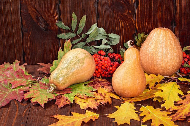 gourds and leaves