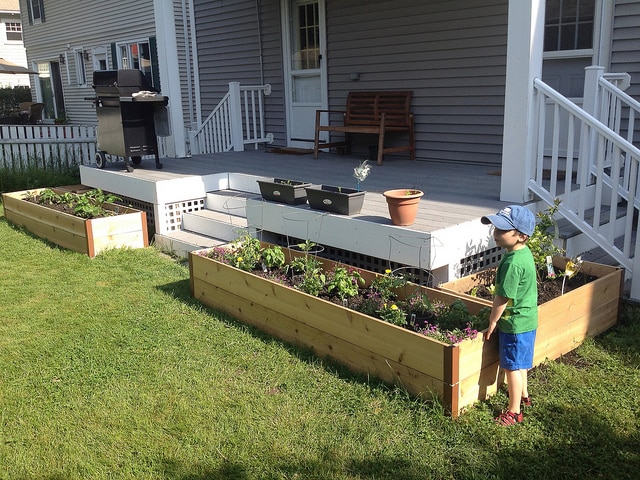 garden beds raised