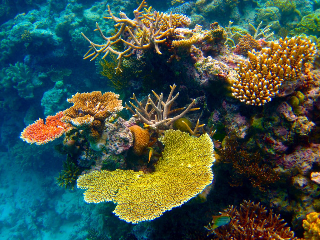 Great Barrier Reef