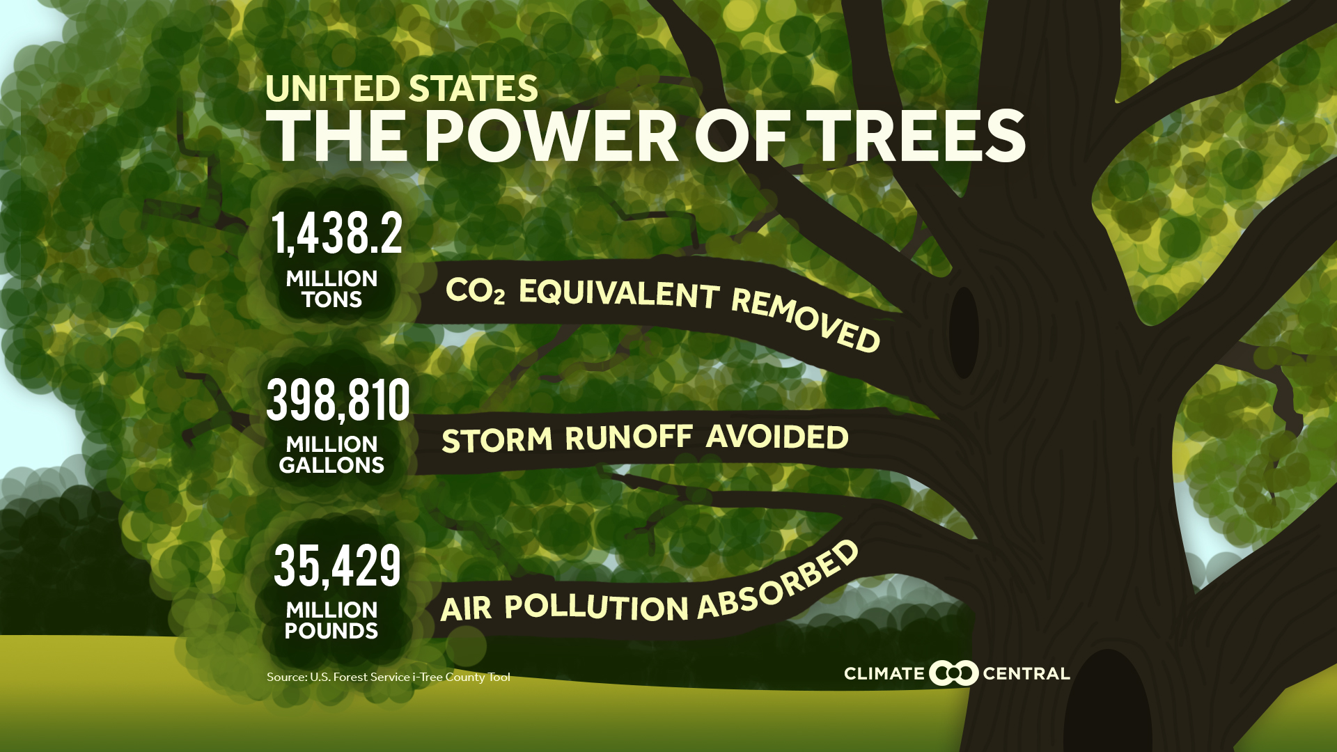 Power of Trees