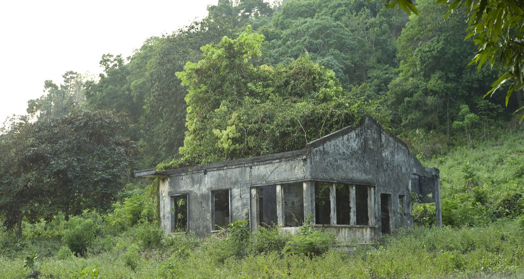 green roof