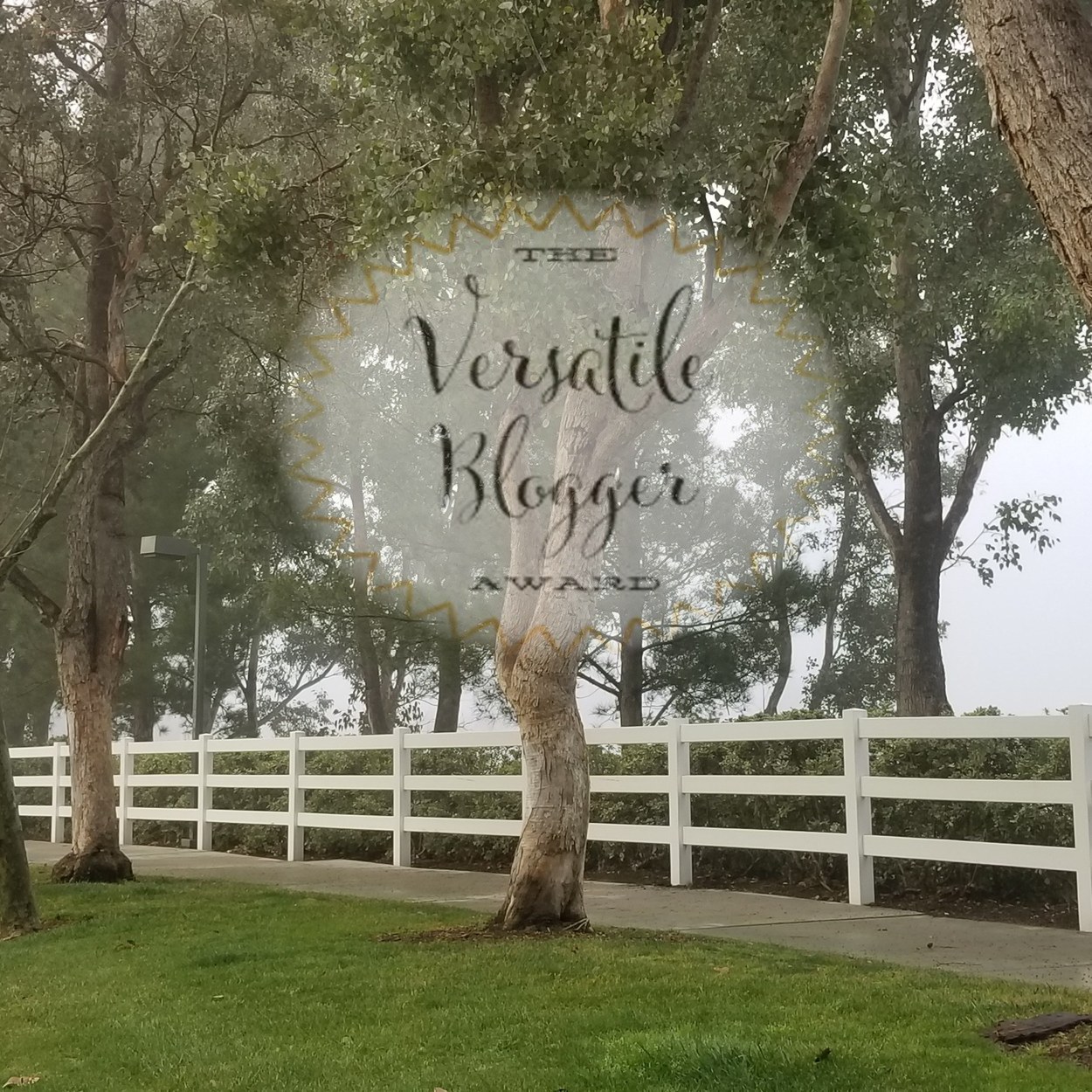 Versatile Blogger Award