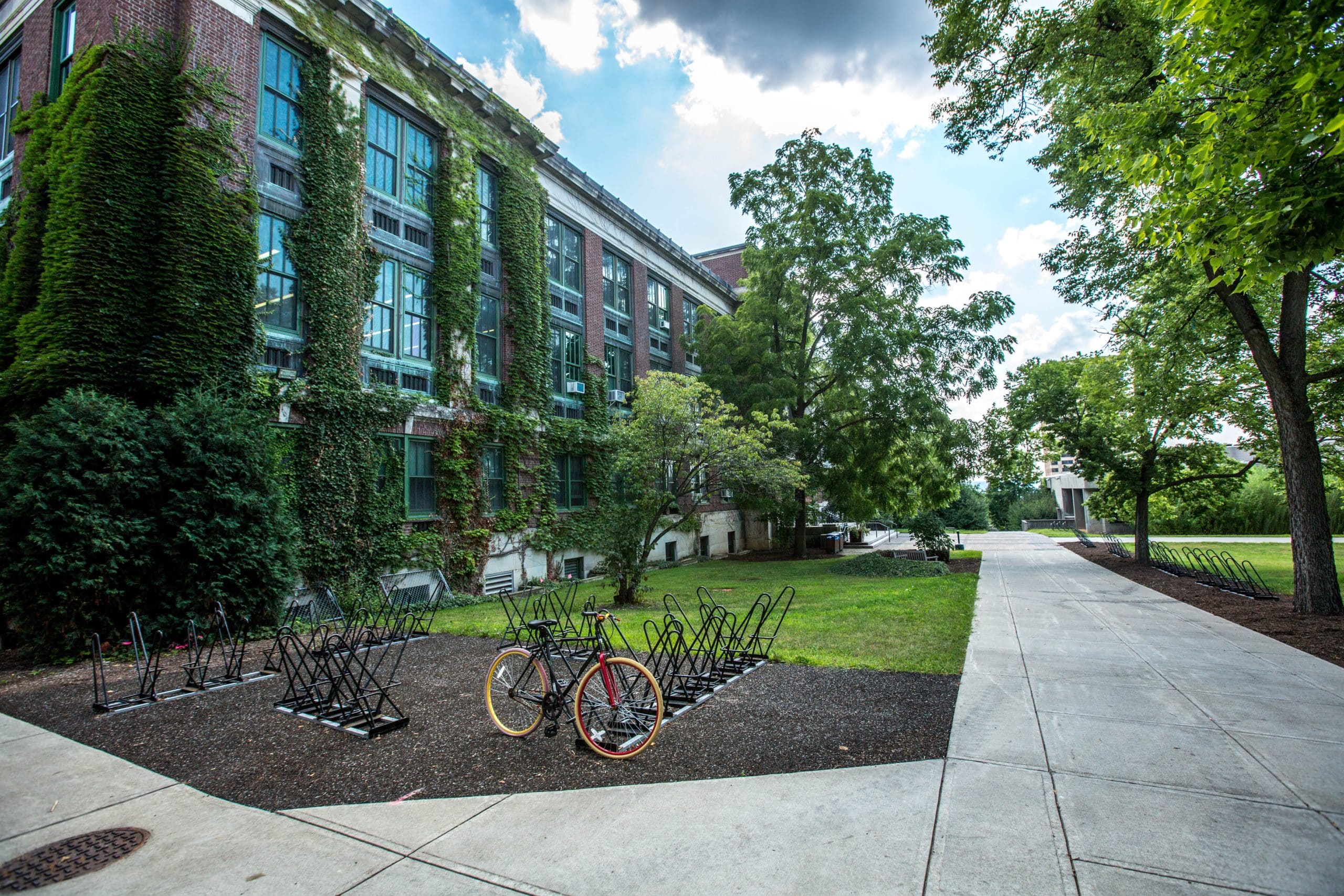 green campus