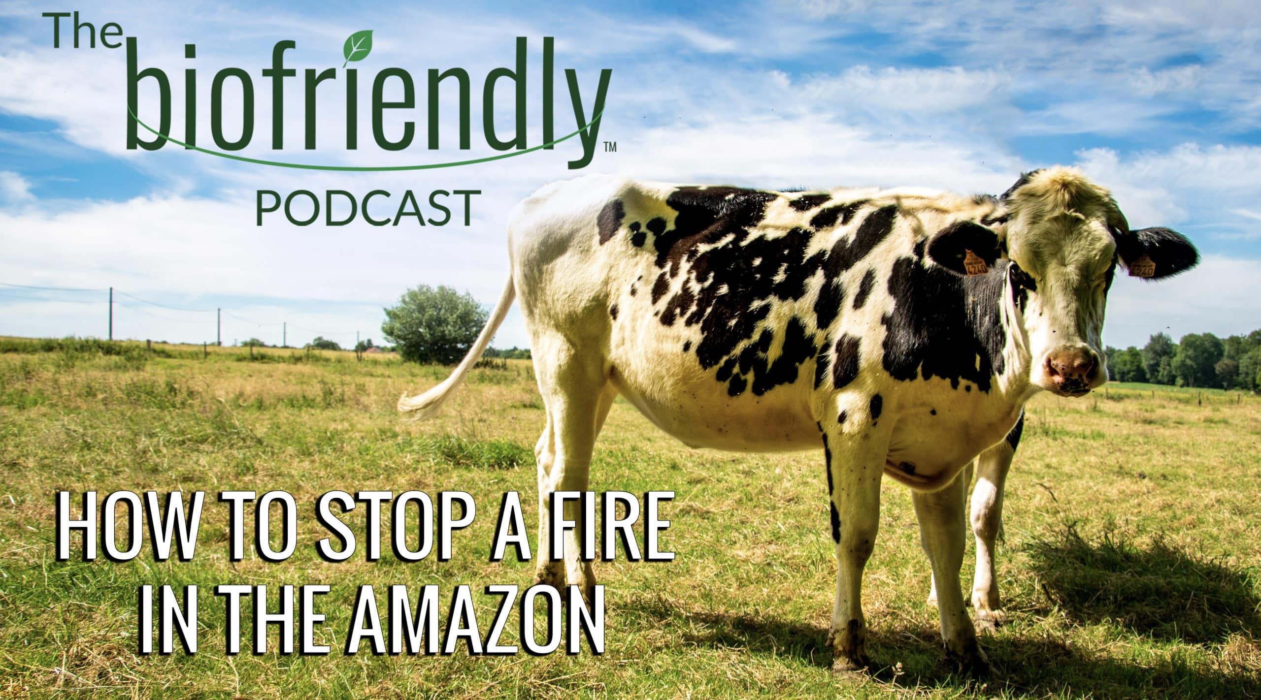 The Biofriendly Podcast - Episode 29 - How To Stop A Fire In The Amazon