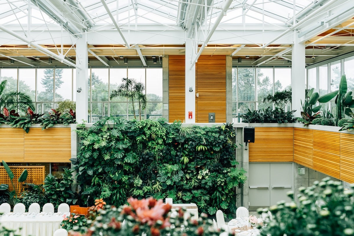 indoor-living-wall