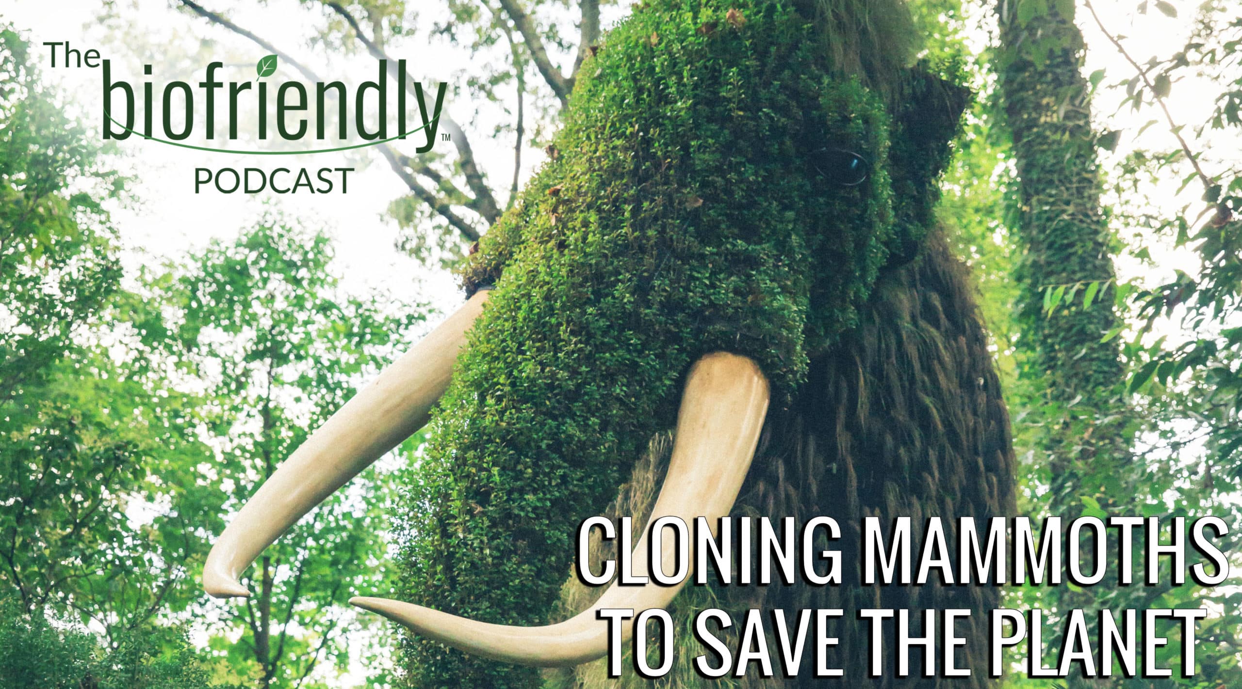 The Biofriendly Podcast - Episode 30 - Cloning Mammoths To Save The Planet