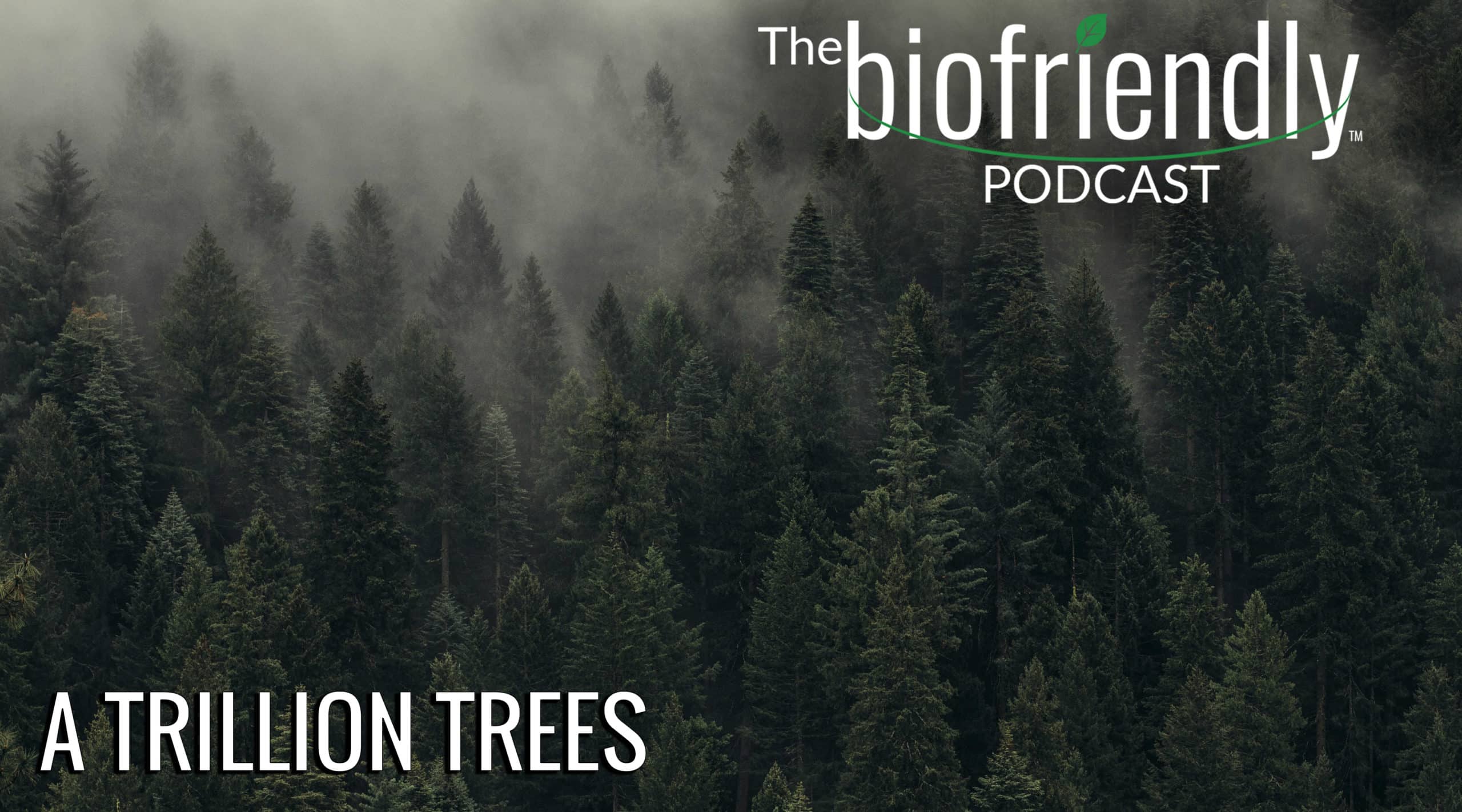 The Biofriendly Podcast - Episode 34 - A Trillion Trees