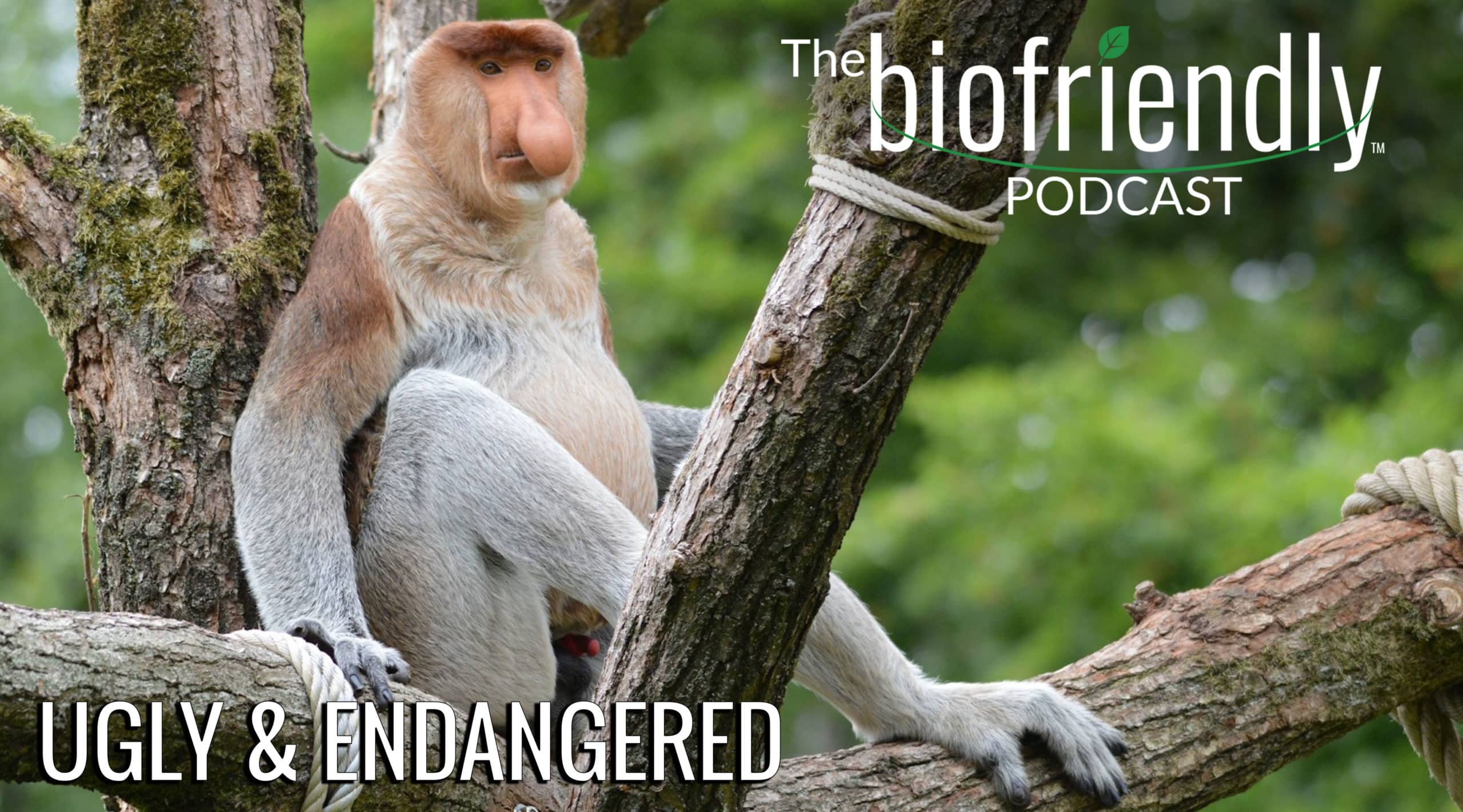 The Biofriendly Podcast - Episode 46 - Ugly and Endangered