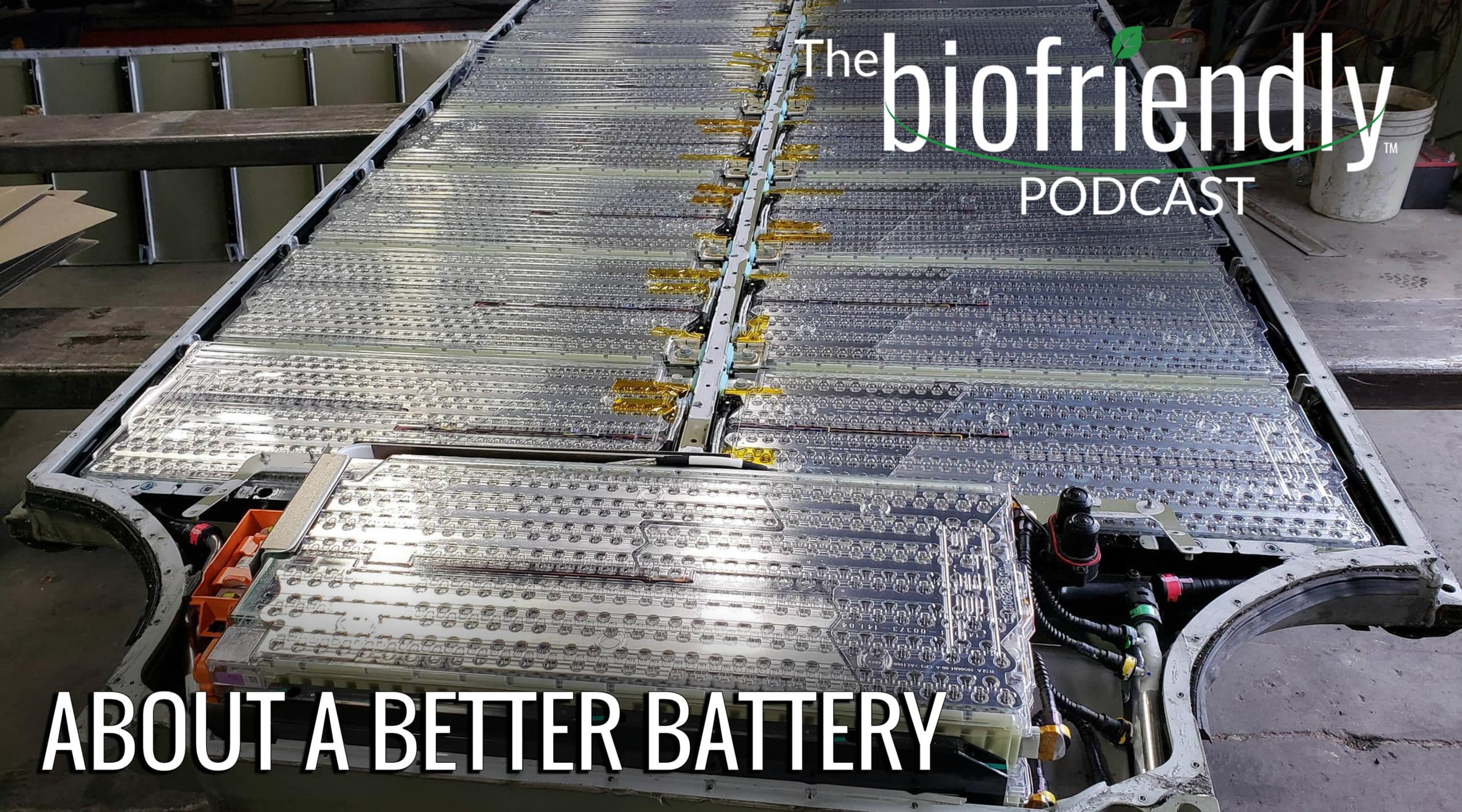 The Biofriendly Podcast - Episode 47 - About A Better Battery