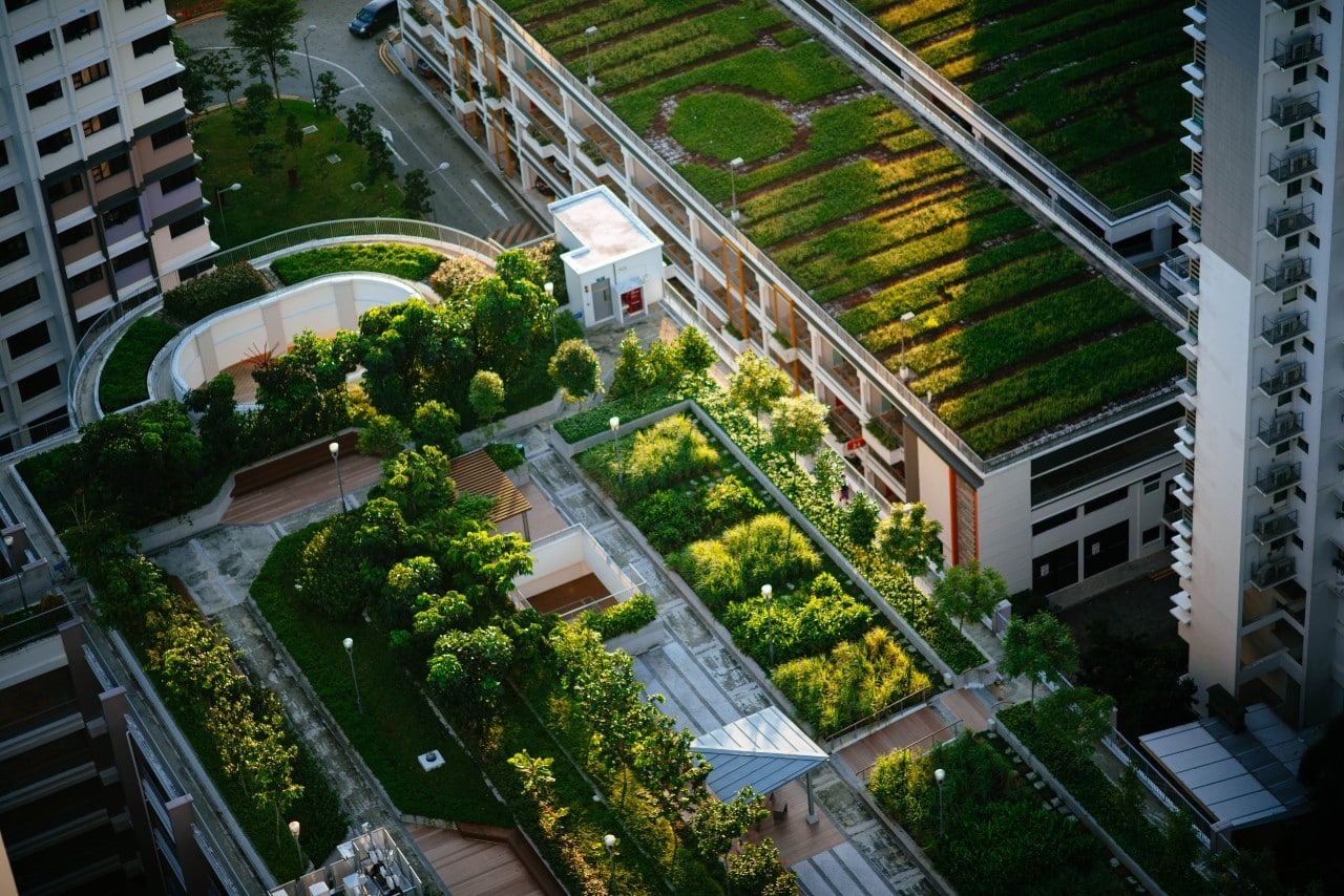 green wall buildings