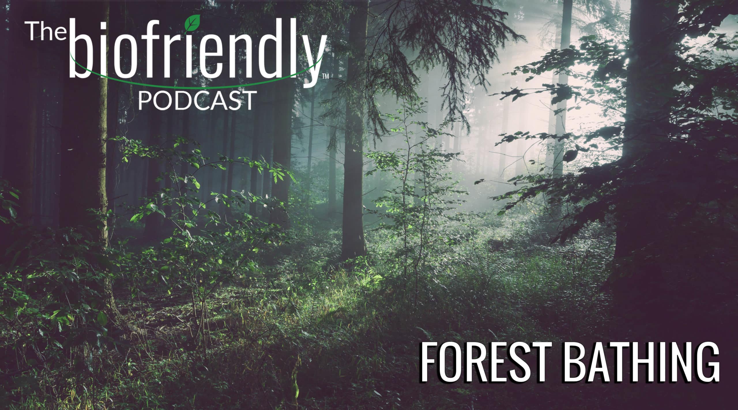 The Biofriendly Podcast - Episode 49 - Forest Bathing
