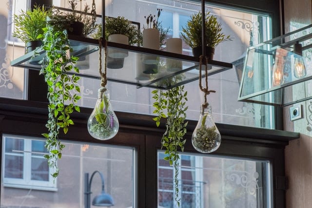 indoor-hanging-garden