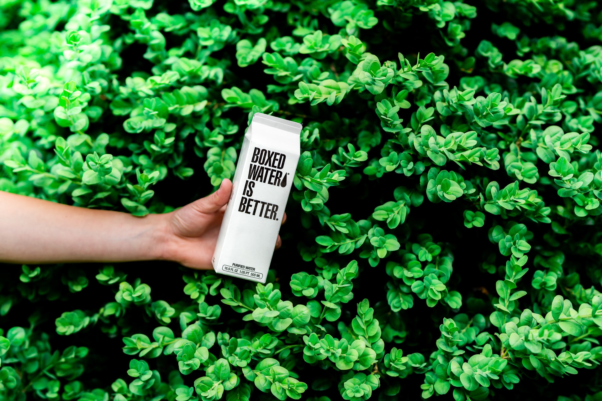 Photo by Boxed Water Is Better on Unsplash