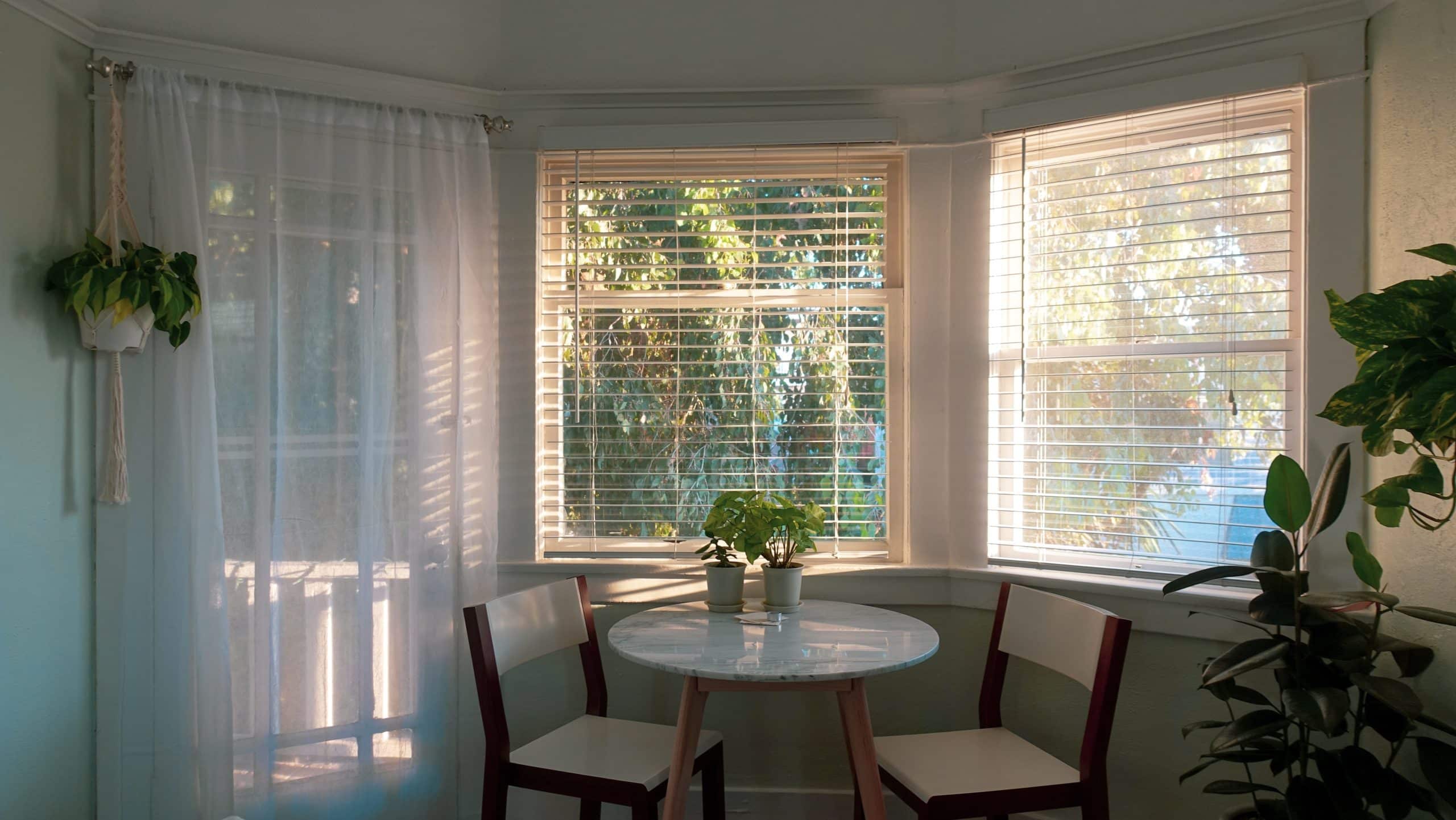 kitchen nook with plants and windows