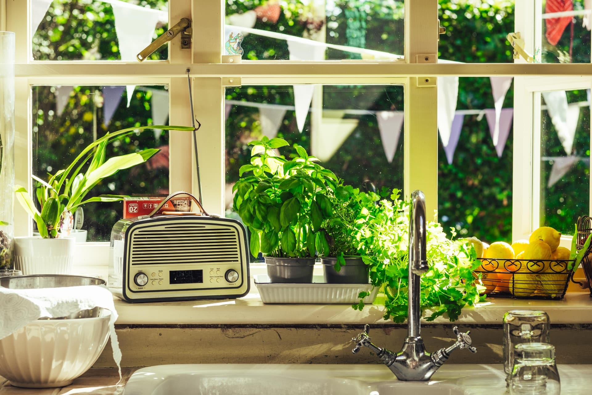 kitchen garden