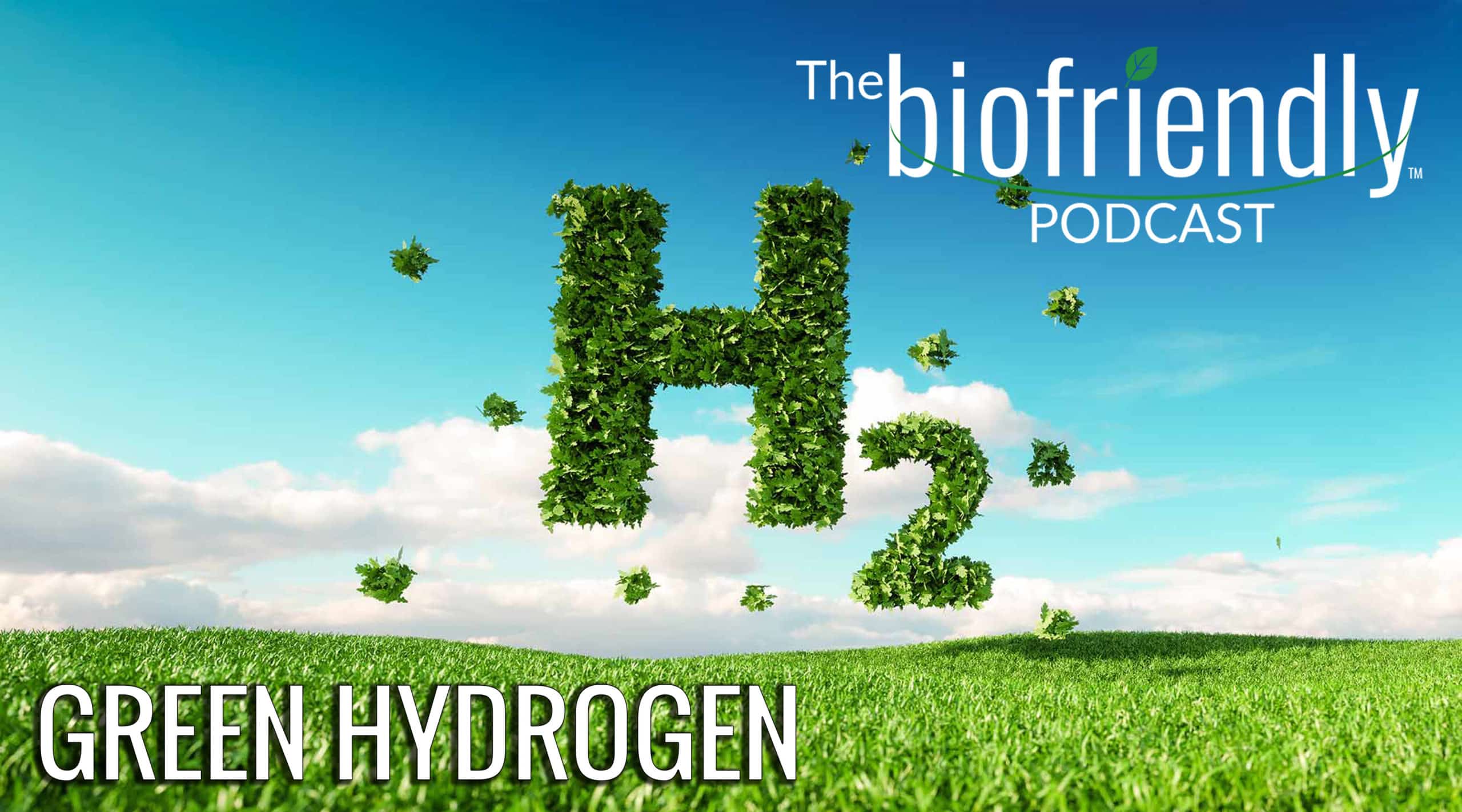 The Biofriendly Podcast - Episode 85 - Green Hydrogen