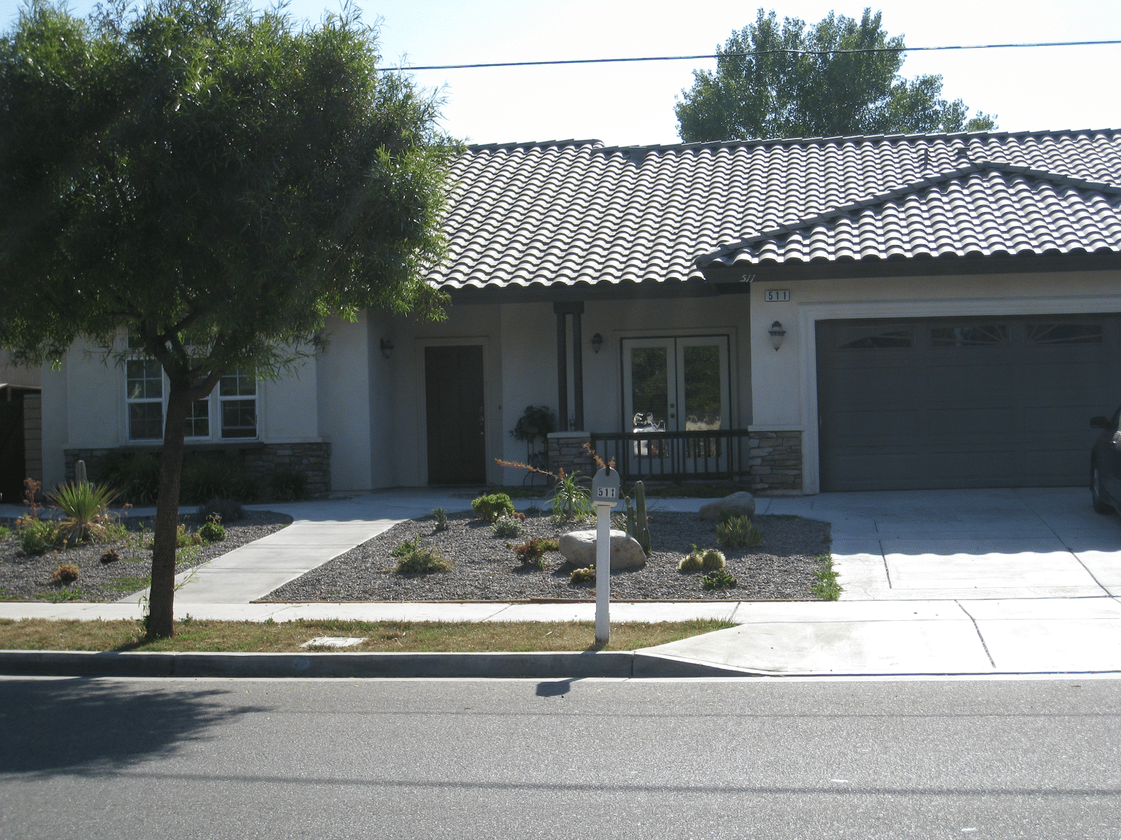 drought friendly yard