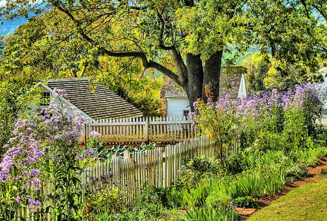 garden by fence