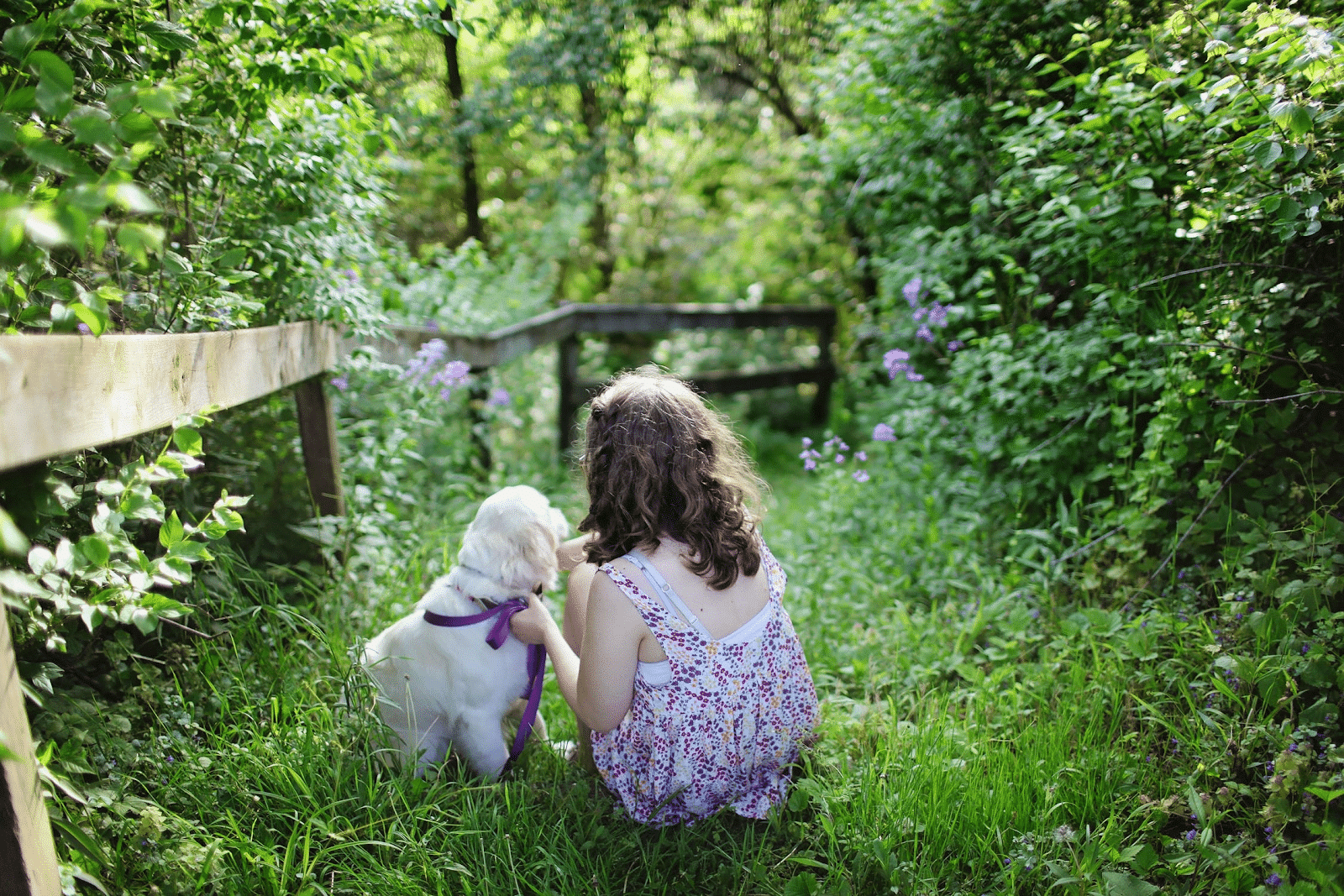 girl with puppy