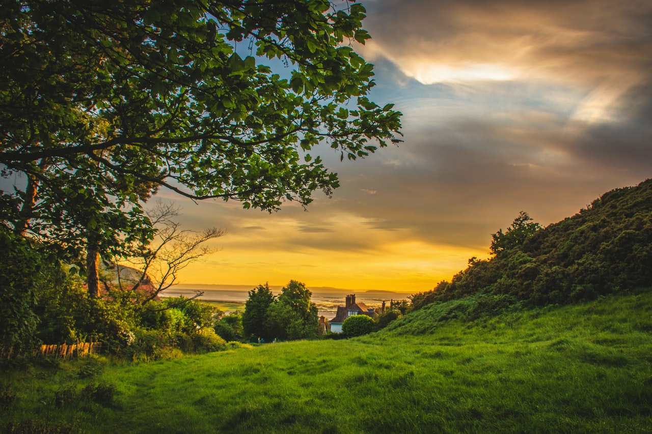 Photo by Lisa Fotios from Pexels
