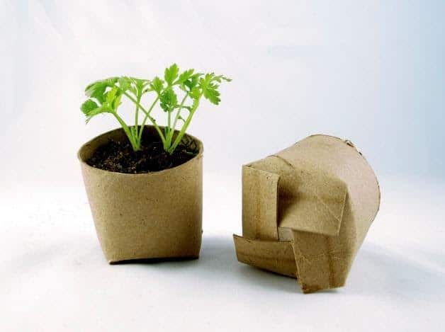 biodegrable pots
