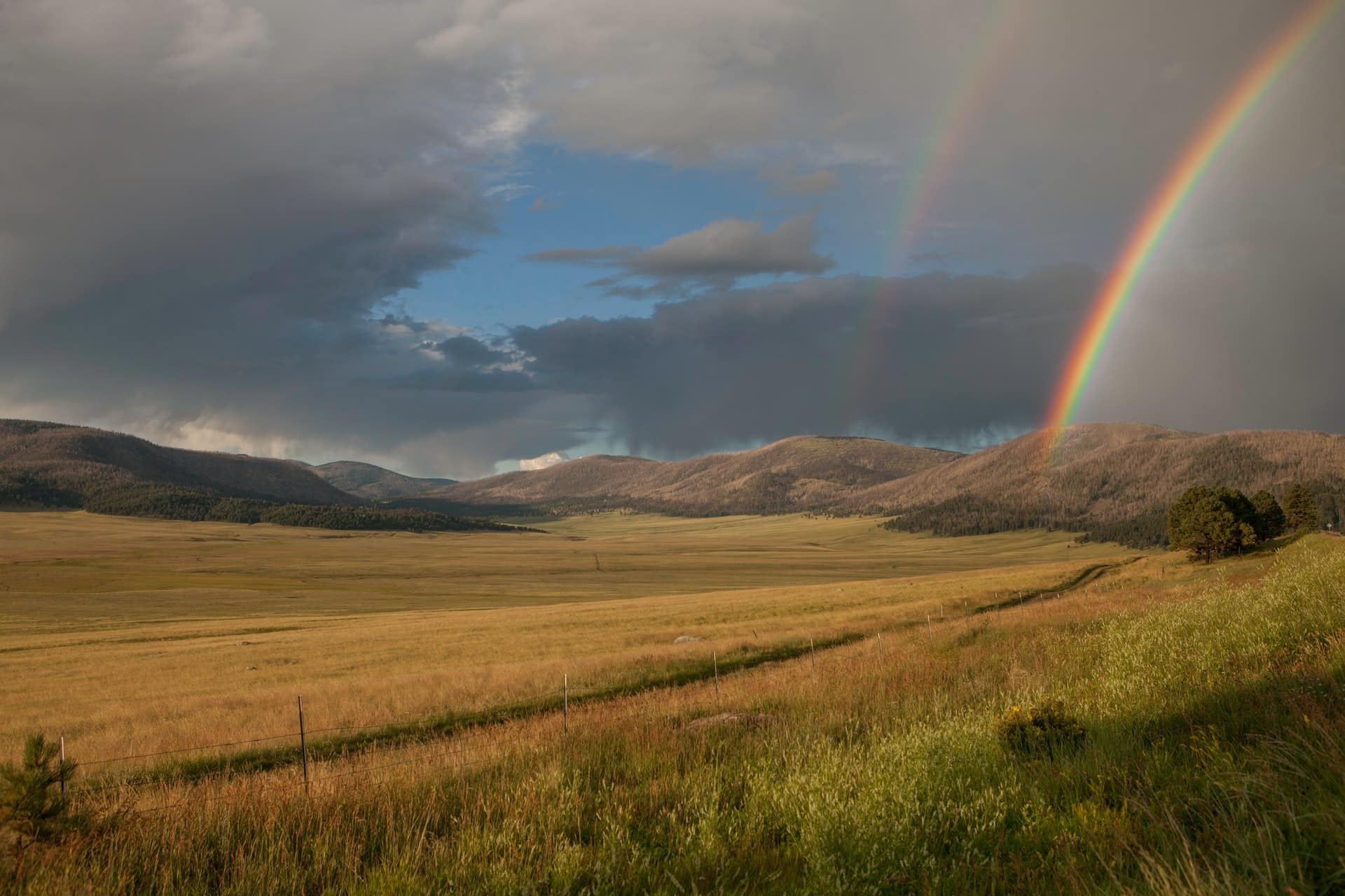 rainbow over field