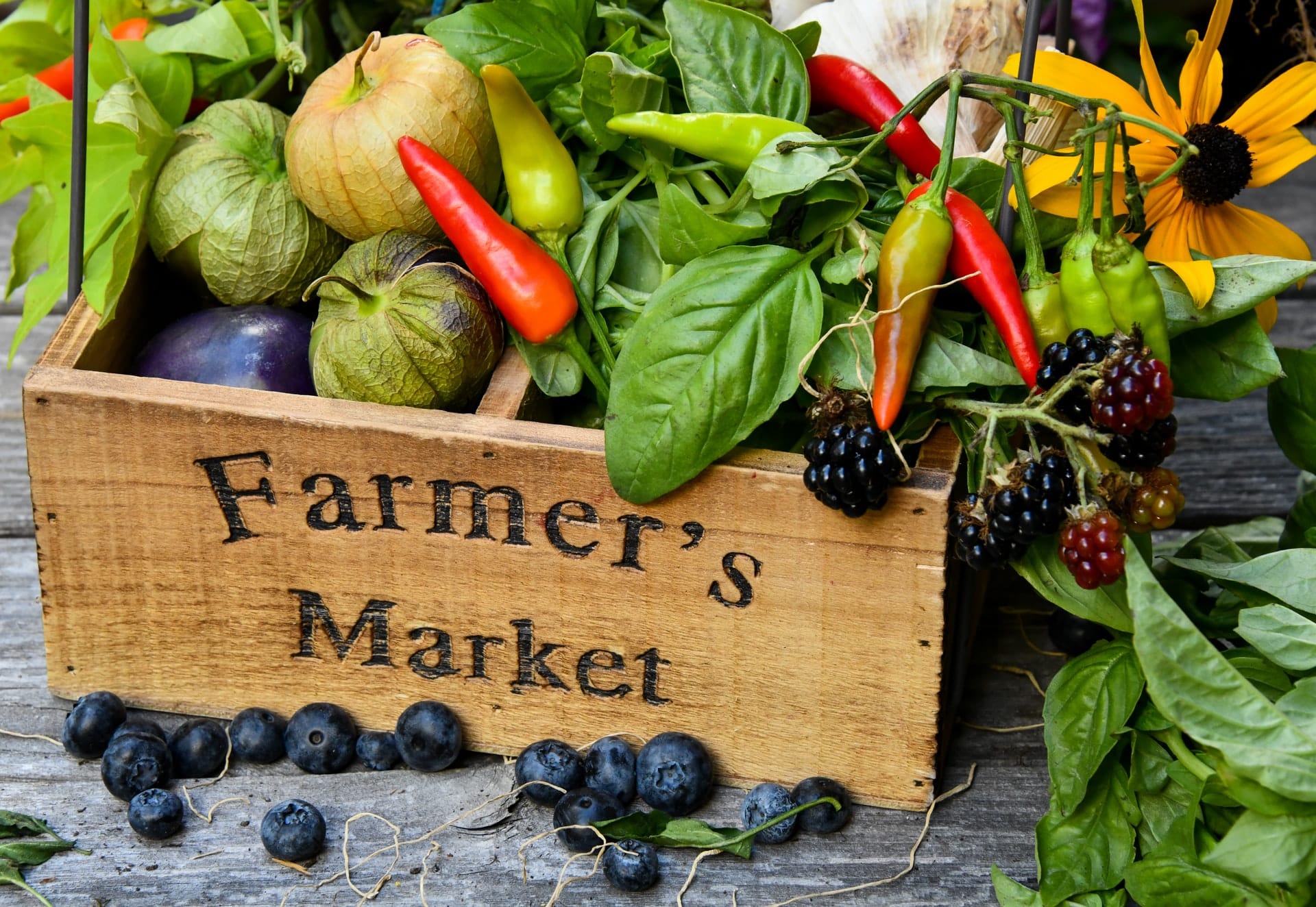 eco-conscious farmers market