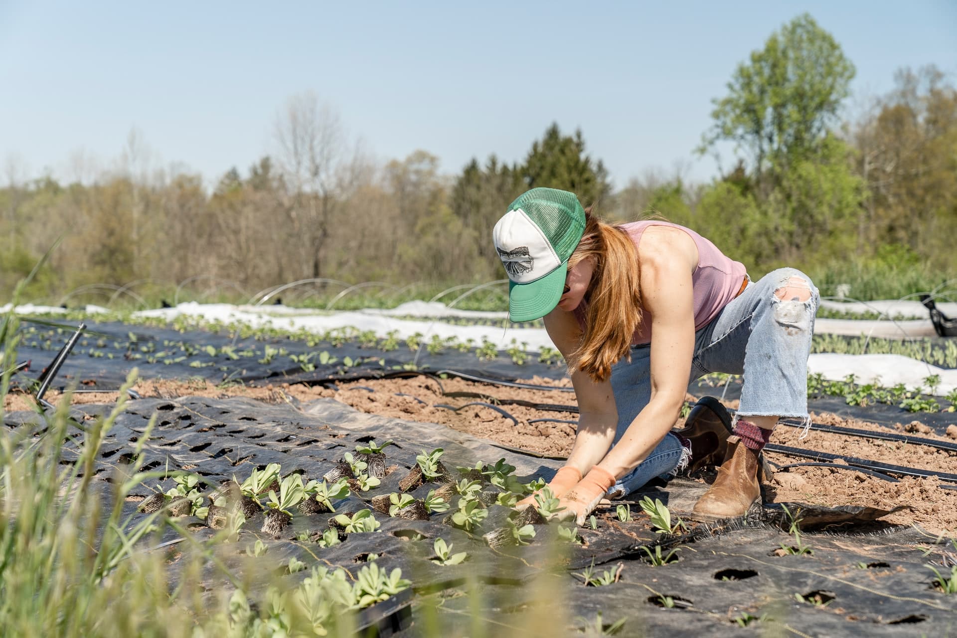 sustainable gardening