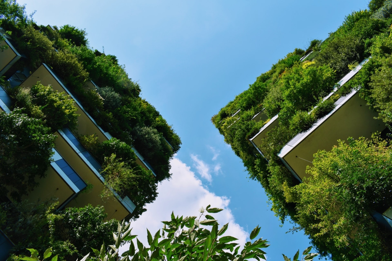 Eco-Conscious World image with buildings and lots of greenery