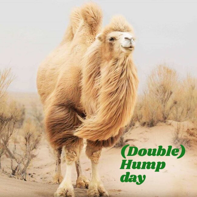 (Double) hump day