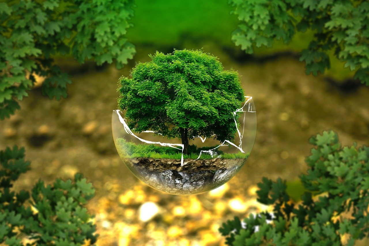 climate change tree in broken glass ball