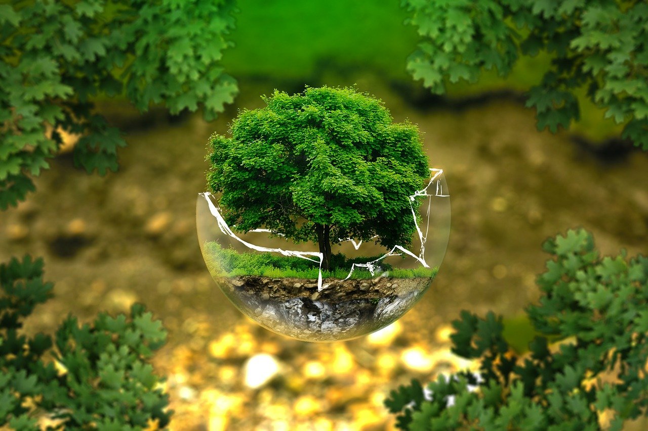 Climate change

Image by ejaugsburg from Pixabay 