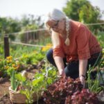 sustainability in gardening