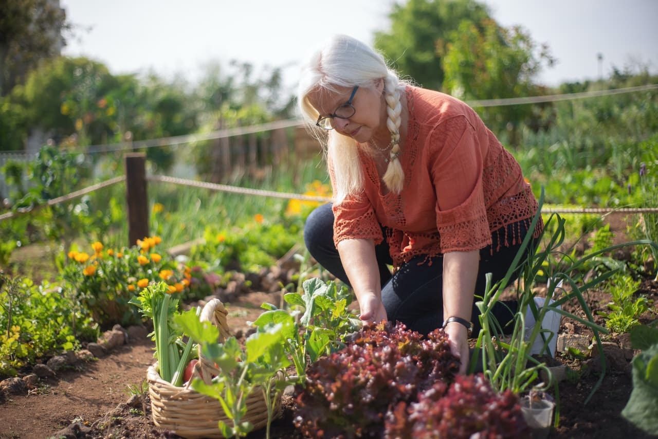 sustainability in gardening