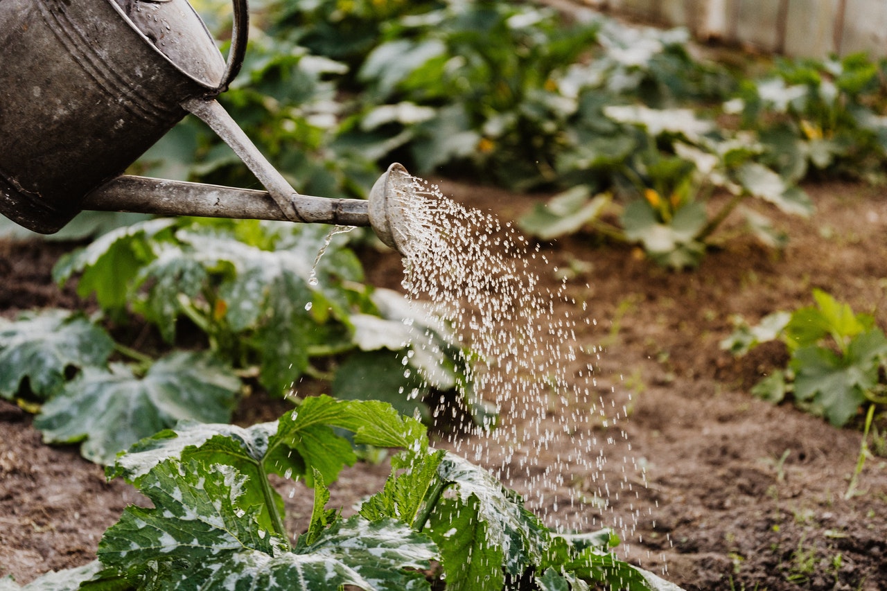 Water waste prevention

Photo by Karolina Grabowska from Pexels