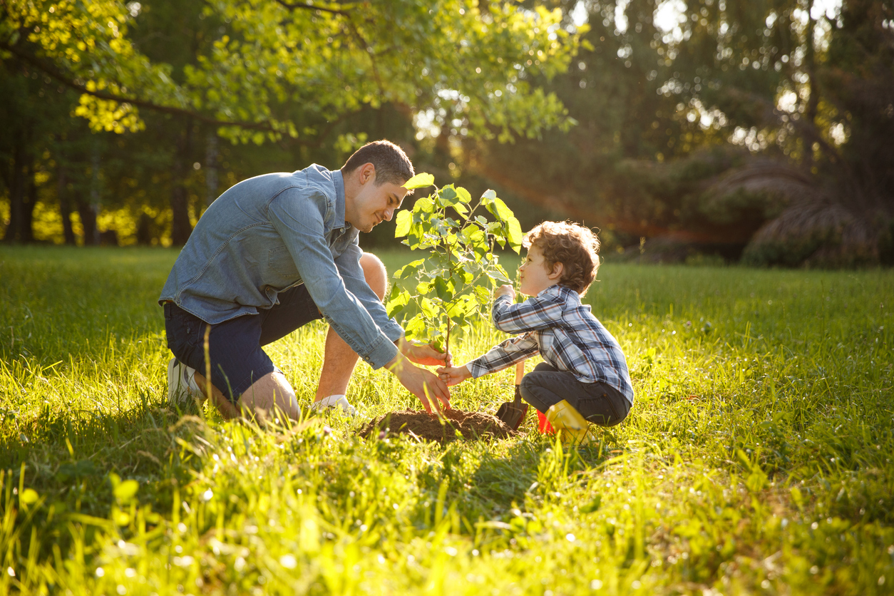 Gardening practices image via iStock