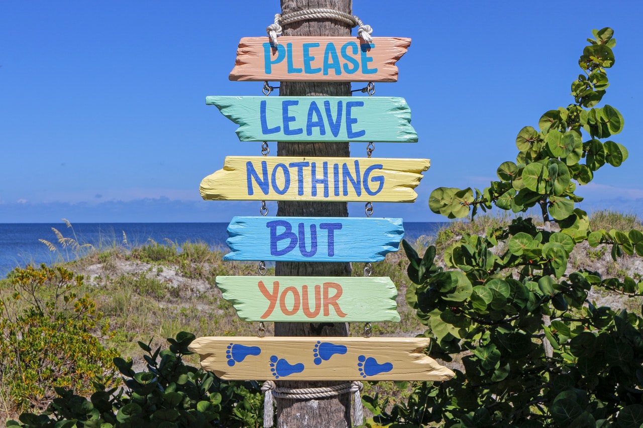 Coastal Cleanup Day

Image from Pixabay on Pexels