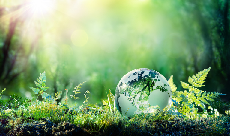 Sustainable habits

Image from iStock by Getty Images