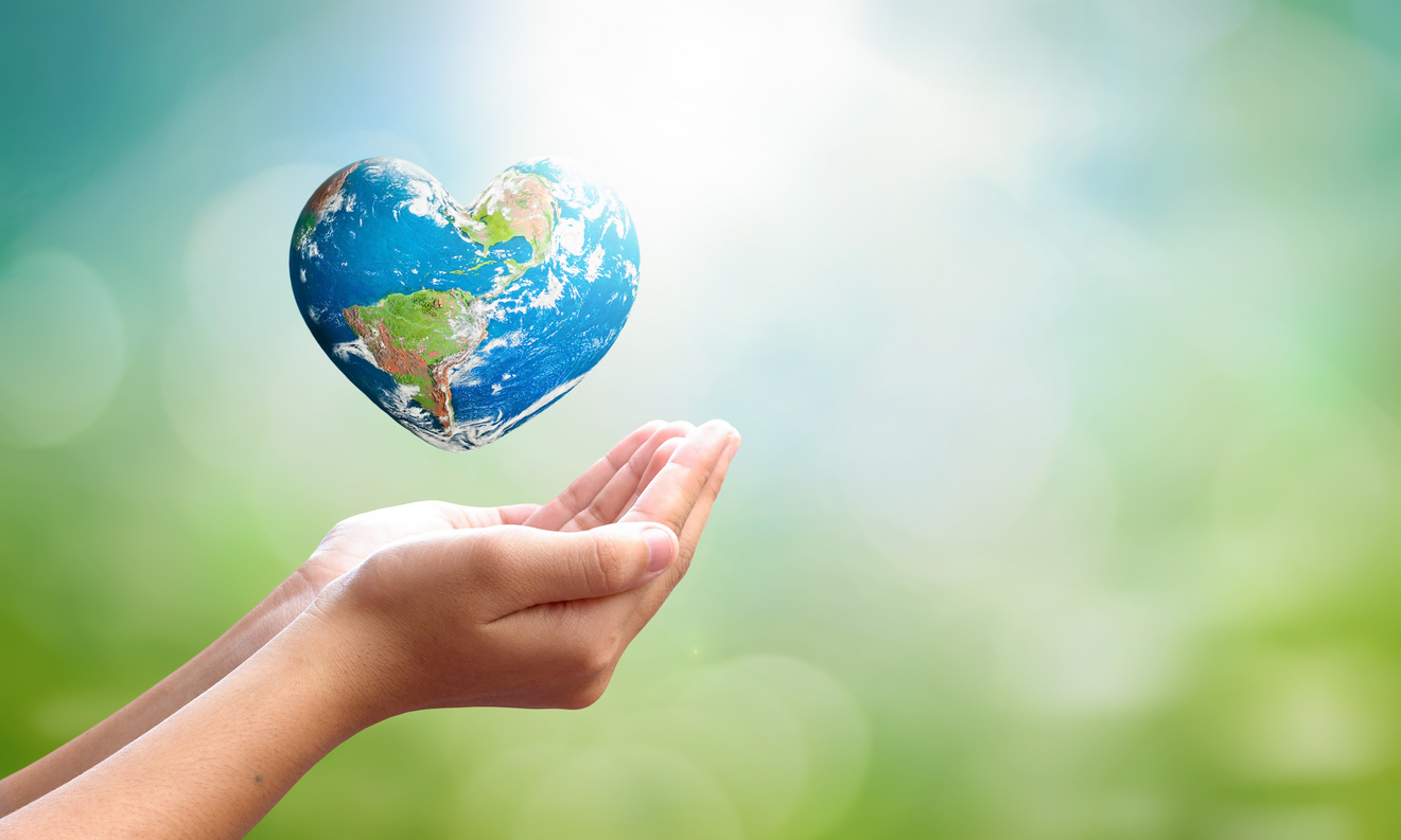 Sustainability and Humanitarian Aid Go Hand in Hand

Photo by shuang paul wang via iStock by Getty Images